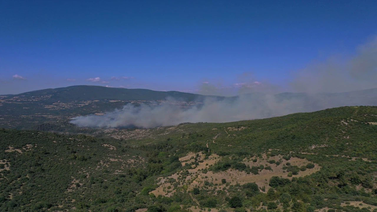 Balıkesir'de ormanlık alanda çıkan yangın kontrol altına alındı