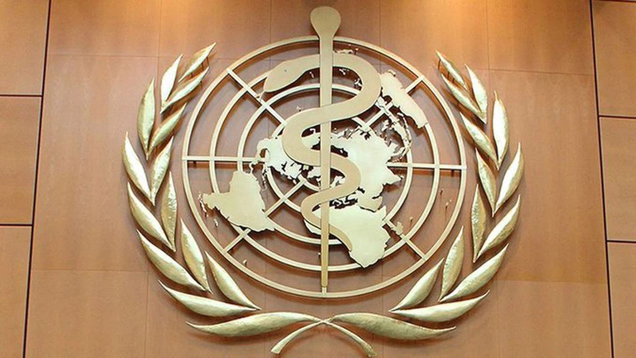 Dünya Sağlık Örgütü, Türkiye'deki depremler sonrası 3. Seviye Acil Durum ilan etti