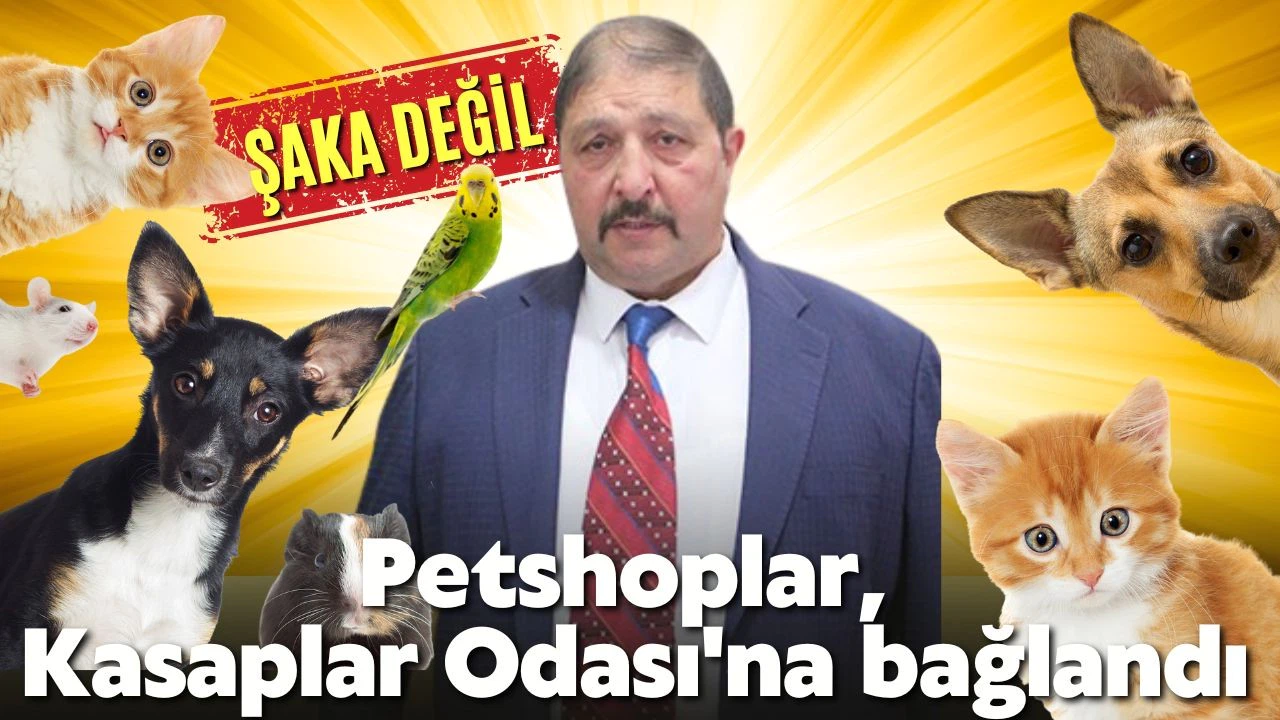 Petshoplar, Kasaplar Odası'na bağlandı
