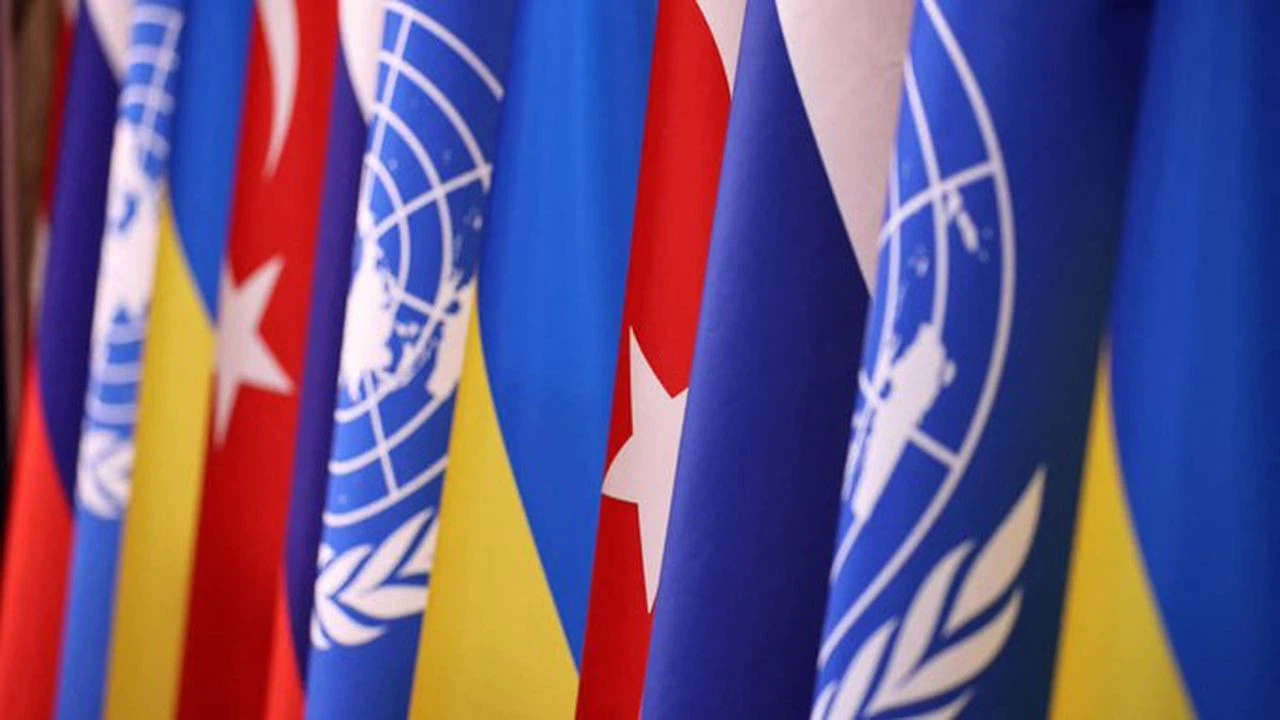 BM: Karadeniz'den geçen tahıl gemilerinin denetimi Türk yetkililer tarafından yapılacak