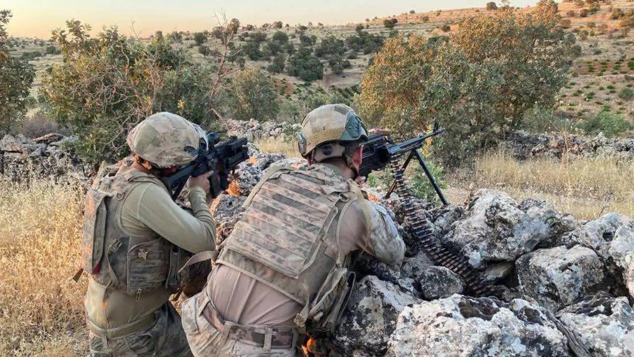 Bingöl'de 3 milyon 329 bin kök kenevir yakalandı