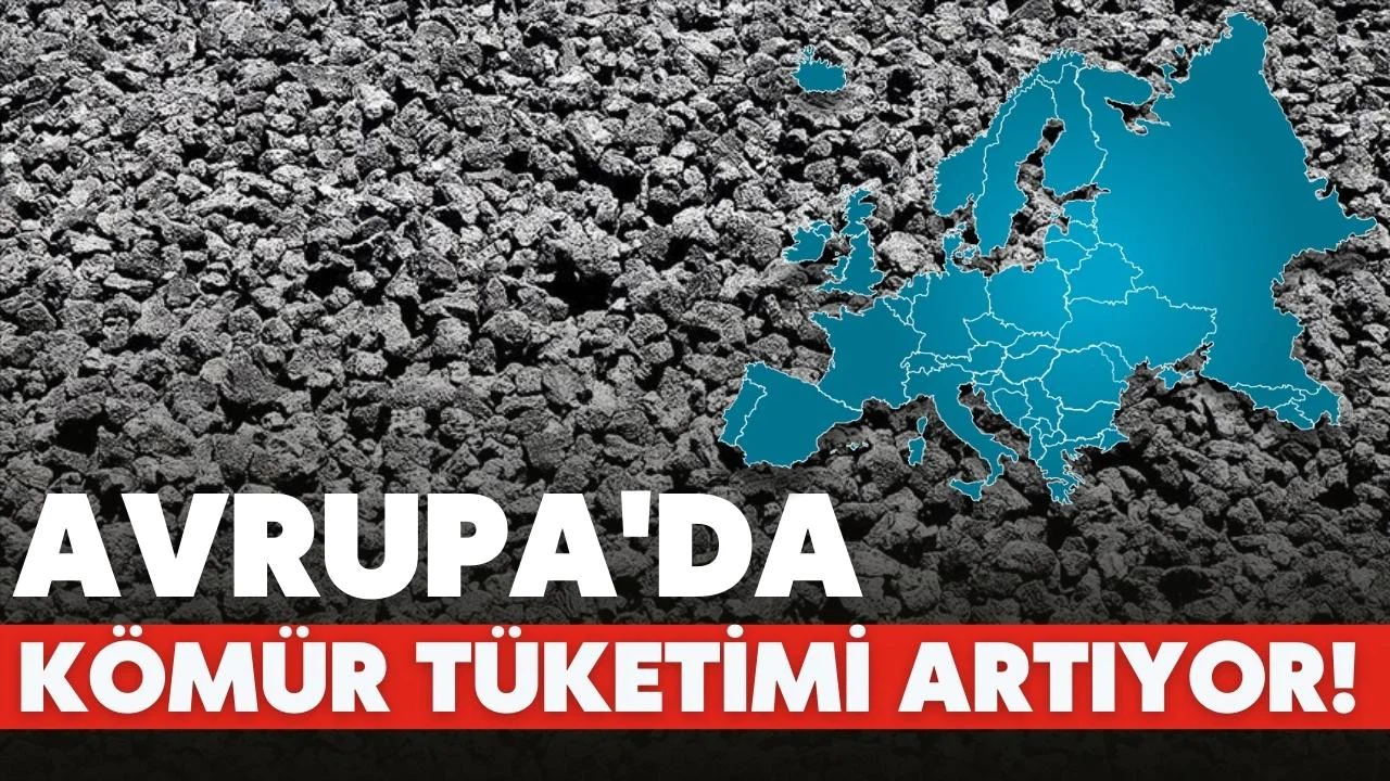 Doğal gazı kesilen Avrupa'da kömür tüketimi arttı!