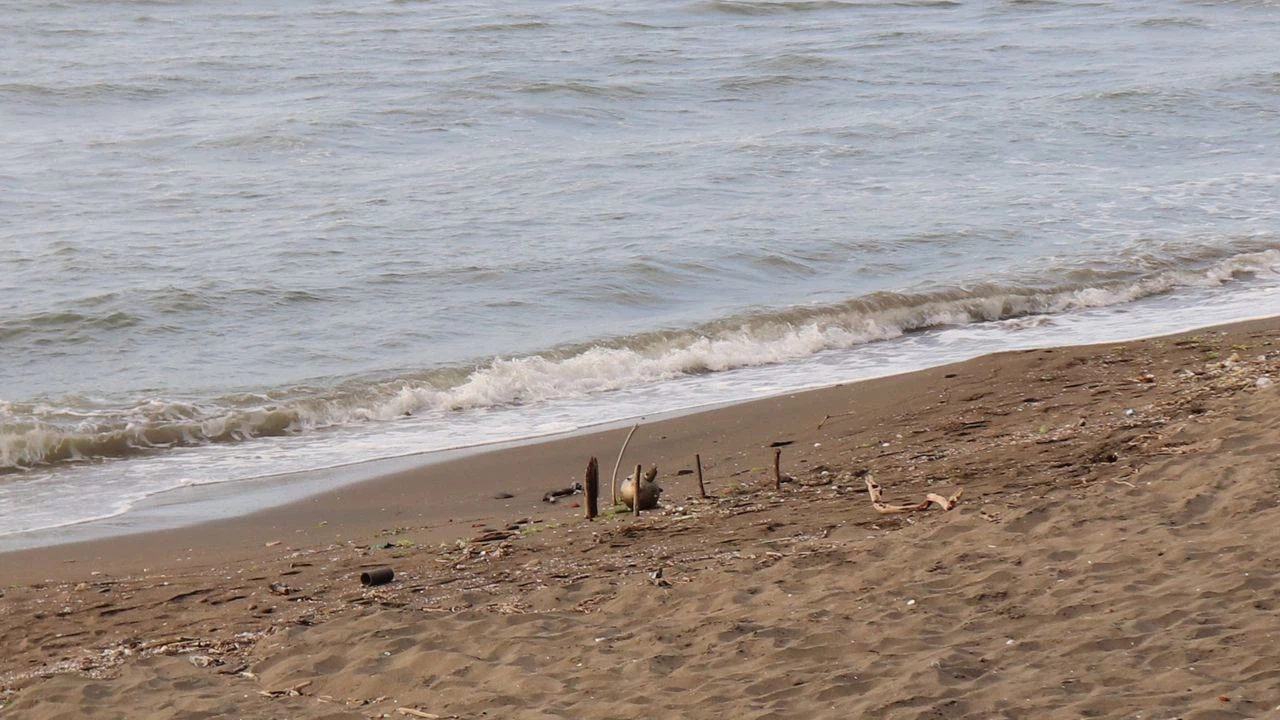 Ordu sahilinde deniz mayını ateşleme tüpü bulundu