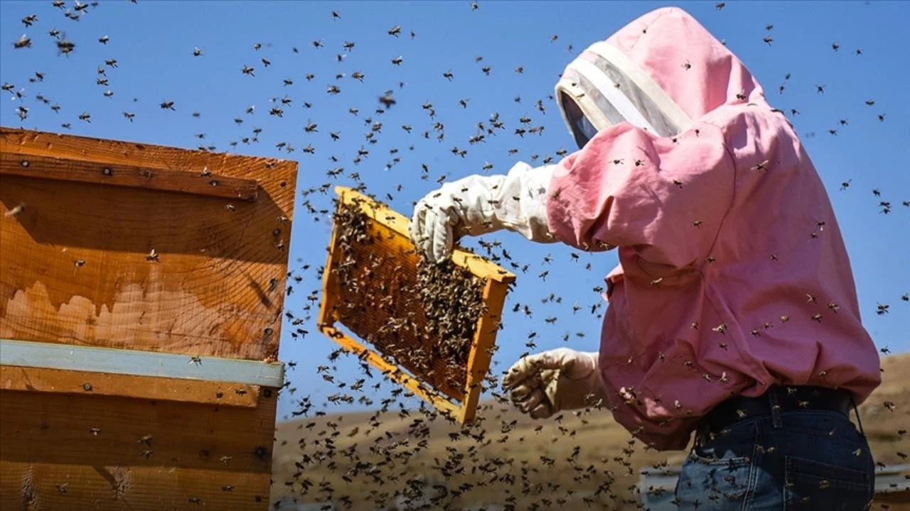 Kırklareli'nde çıkan yangında 71 kovan arı telef oldu