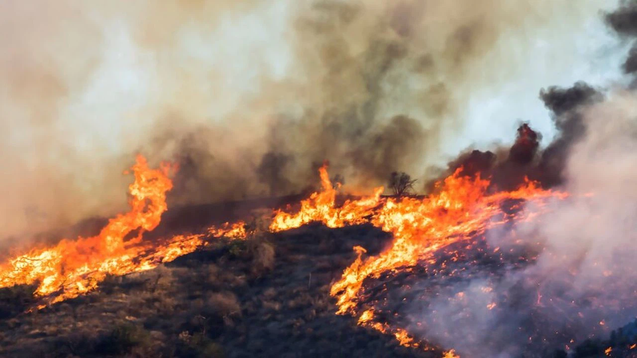 İspanya'da orman yangınlarıyla mücadele kuzeyden güneye devam ediyor