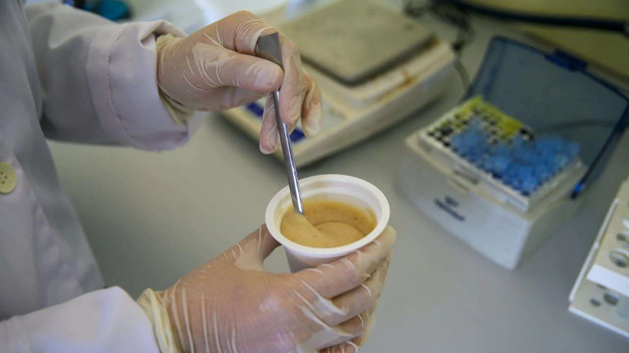 Türkiye'nin ilk yerli ve milli arı probiyotiği üretildi