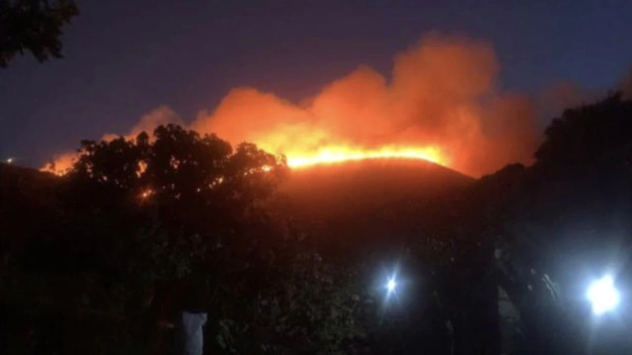İtalya'nın Pantelleria Adası’nda orman yangını
