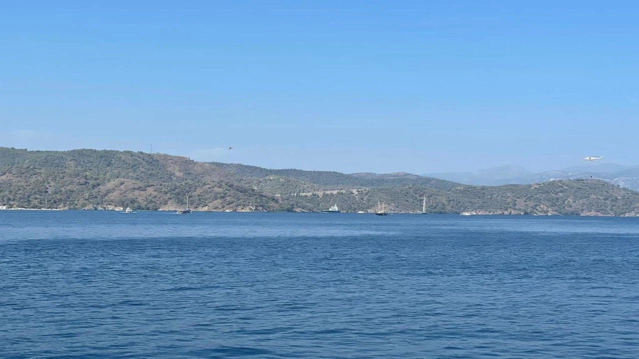 Muğla'da çıkan orman yangını söndürüldü