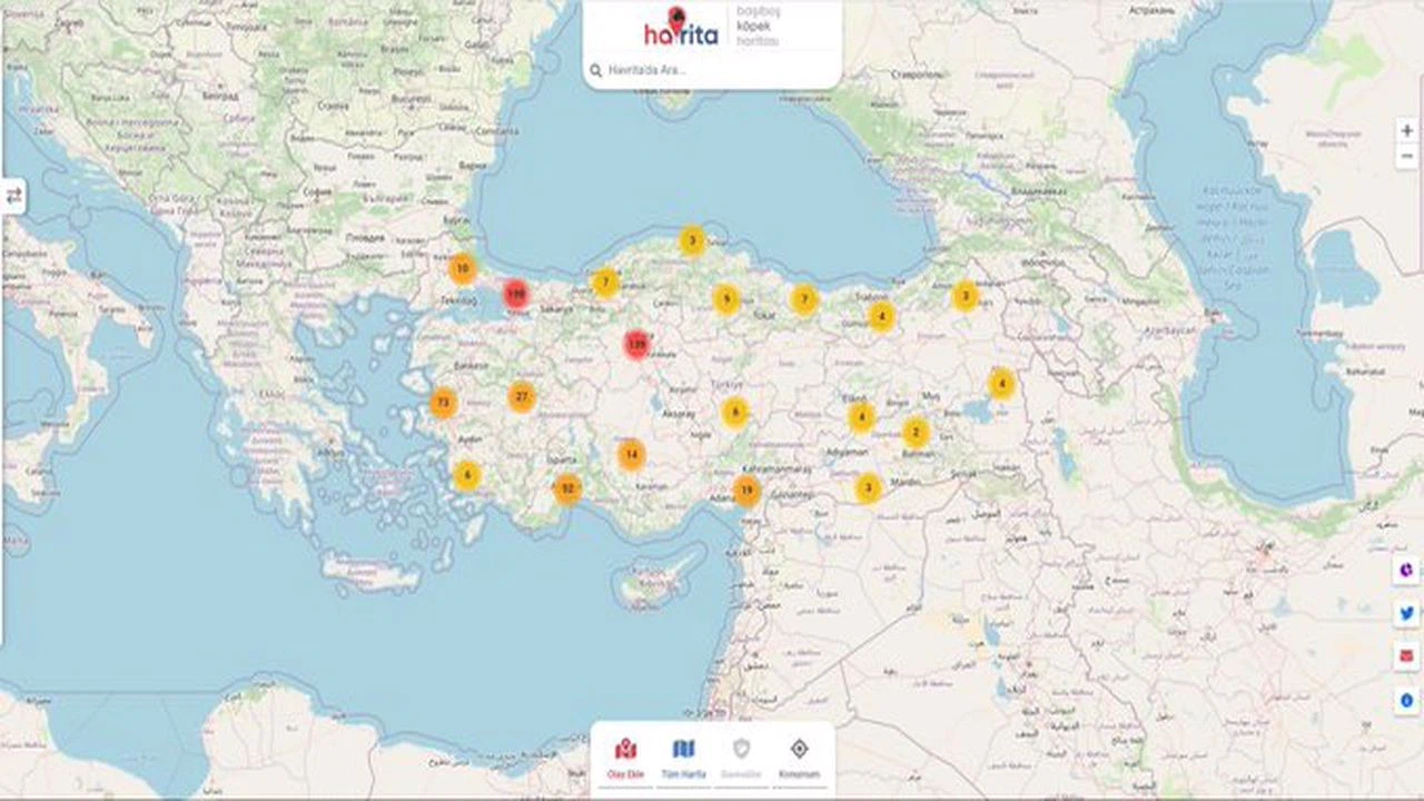 Sokak köpeklerinin yerini harita üzerinde gösteren "havrita.com"a erişim engellendi