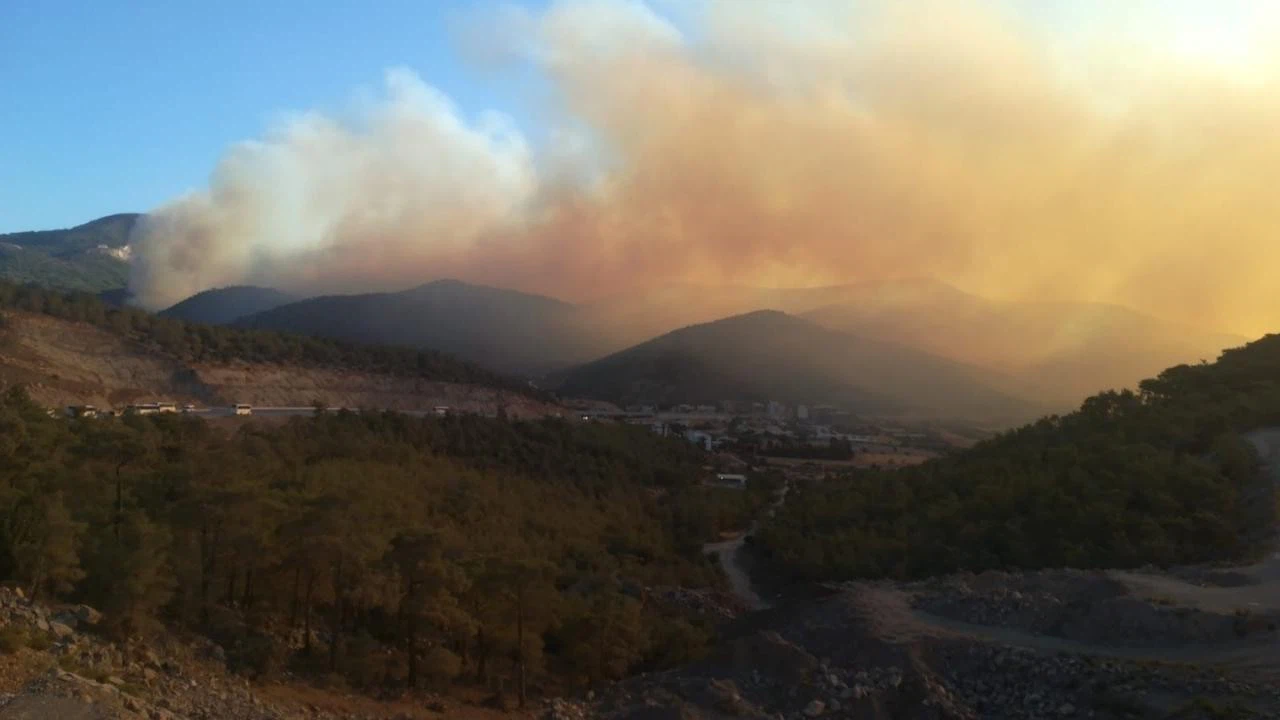 Mersin'de çıkan orman yangınına müdahale ediliyor!