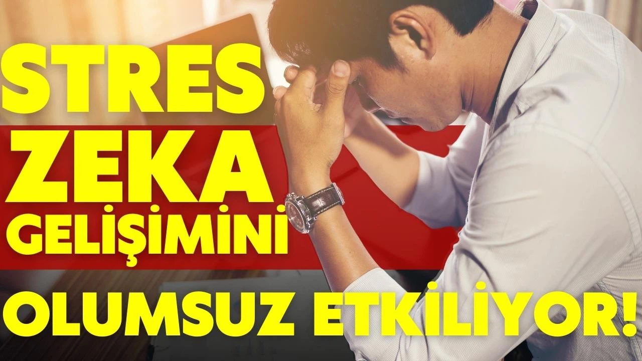 Stres zeka gelişimini olumsuz etkiliyor