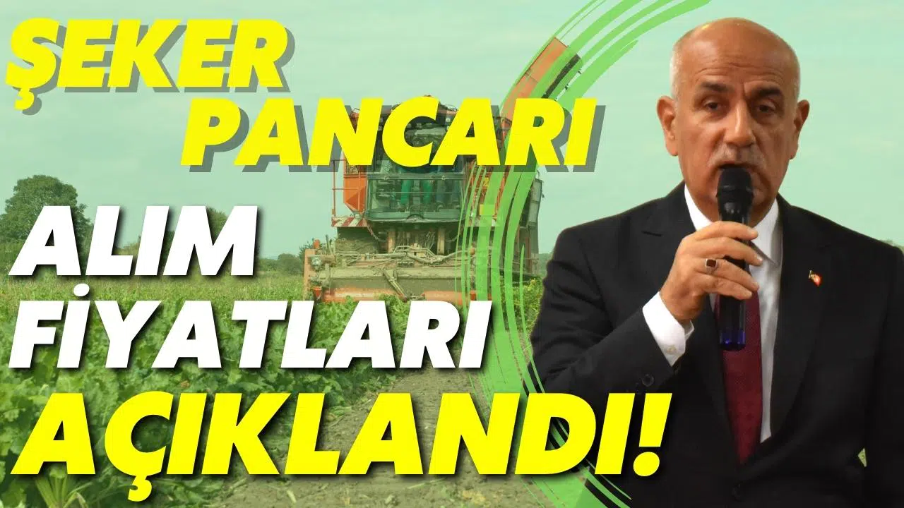 Şeker pancarı alım fiyatları açıklandı