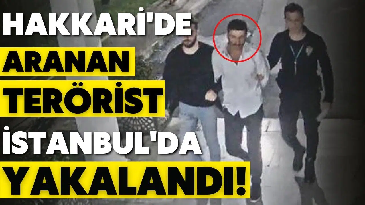 Hakkari'de 3 güvenlik korucusunu şehit etmişti. Terörist İstanbul'da yakalandı.
