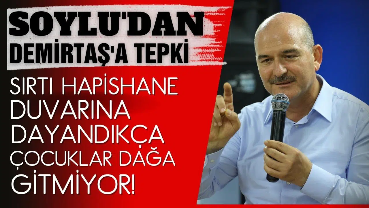 İçişleri Bakanı Soylu'dan, Demirtaş'ın paylaşımına tepki