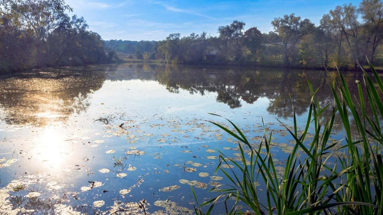 Rize'nin su ihtiyacını 50 yıl karşılayacak gölet inşa ediliyor