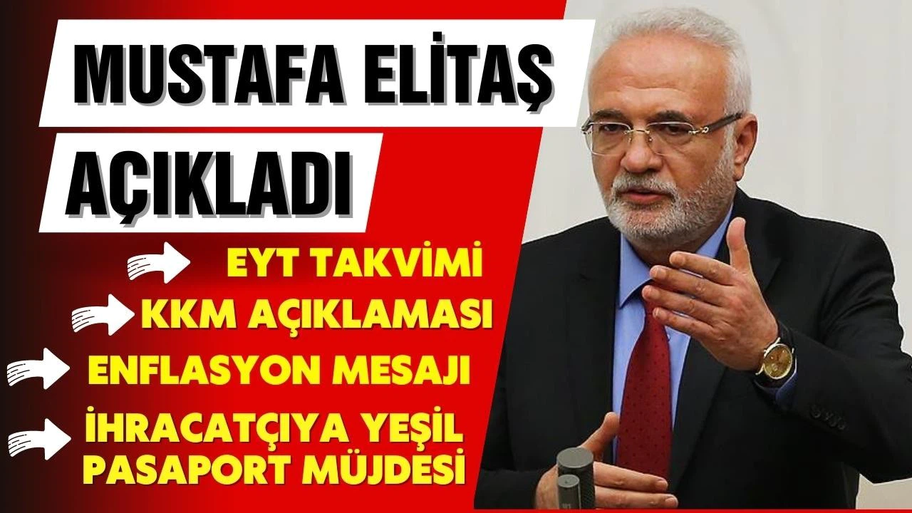 Mustafa Elitaş'tan ihracatçılara yeşil pasaport müjdesi