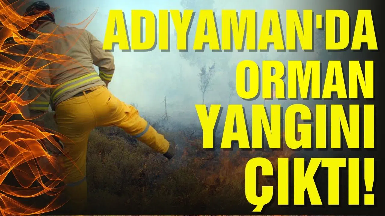 Adıyaman'da çıkan orman yangınına müdahale edildi