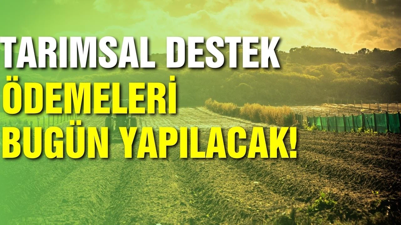 Bakan Kirişci: 1.6 milyar lirayı çiftçilerin hesabına aktarıyoruz