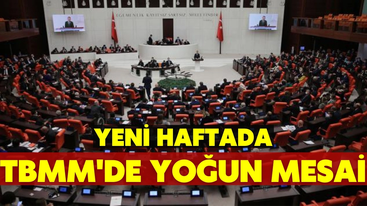 TBMM'de bu hafta