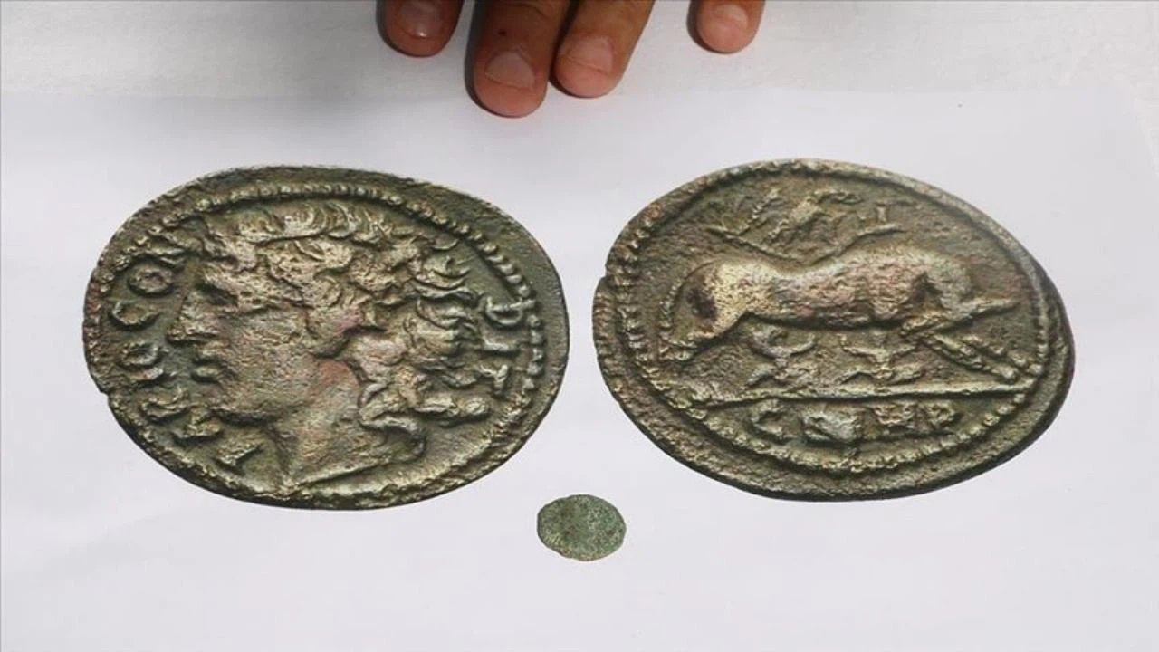 İzmir'de 661 sikke ele geçirildi