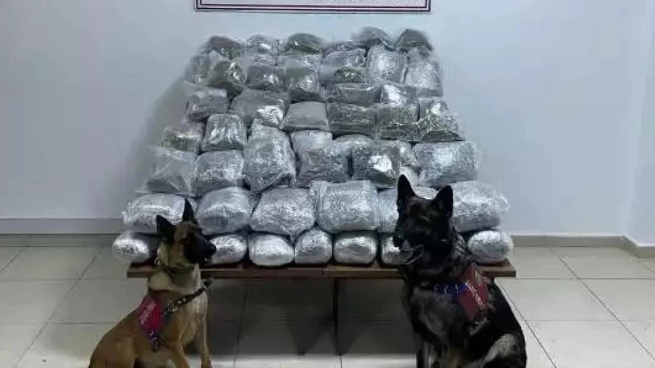 Malatya'da 83 kilo 287 gram skunk ele geçirildi!