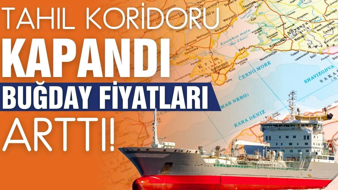 Tahıl koridoru kapandı, buğday fiyatları arttı!