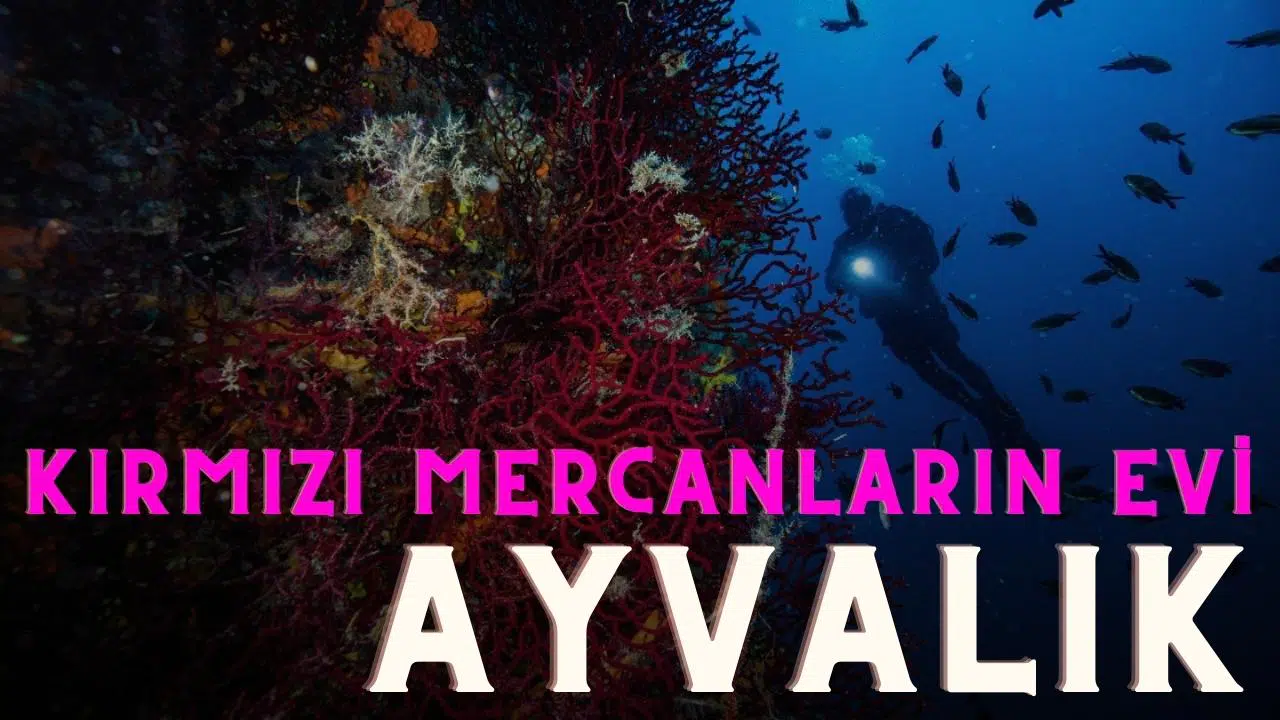 Kırmızı mercanların evi, Ayvalık!