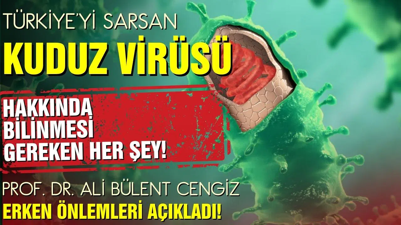 Türkiye'yi sarsan kuduz hastalığına dair gerçekler!