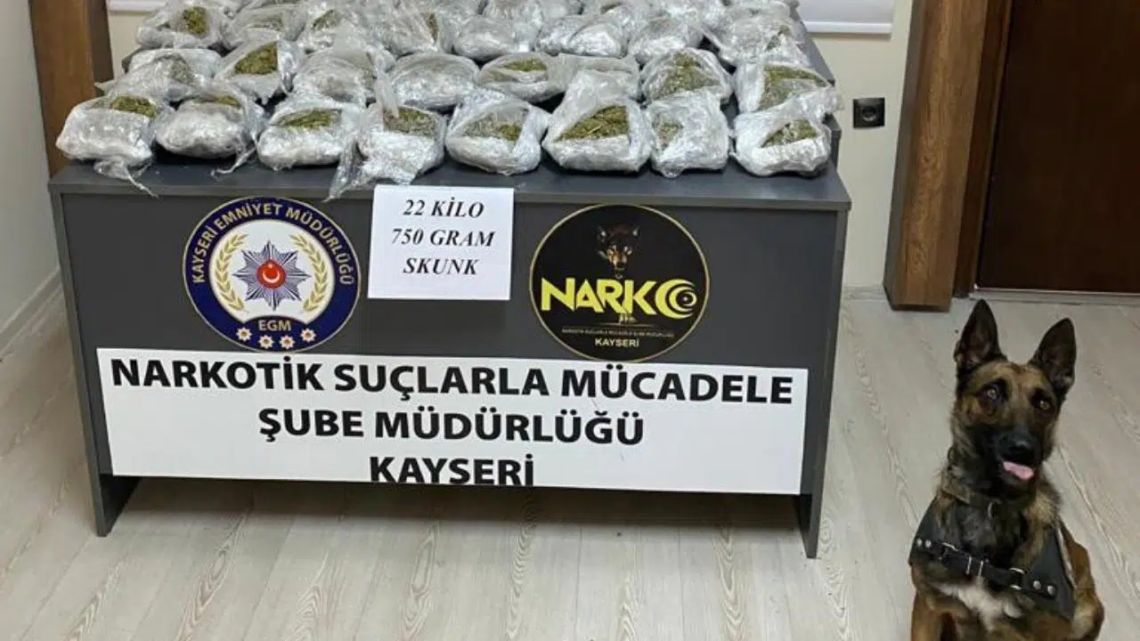 Kiralık araçlarla uyuşturucu taşıdılar!