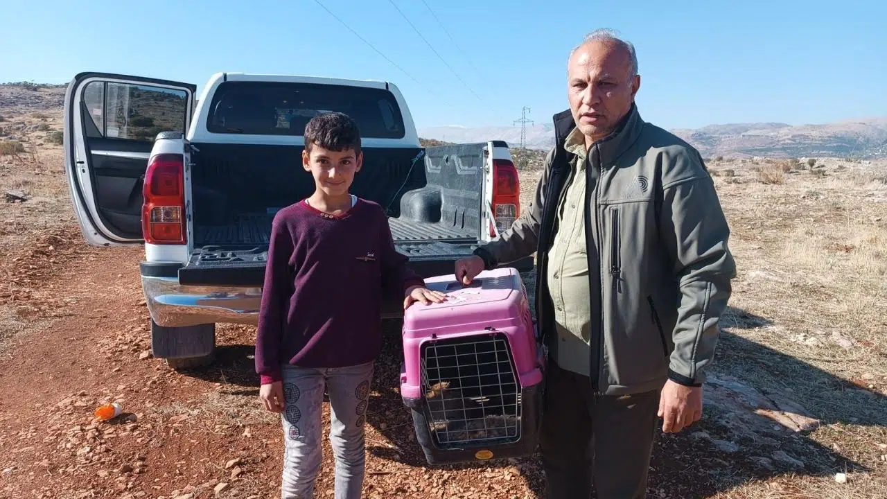 Yaralı tilki 11 yaşındaki Ali sayesinde kurtuldu