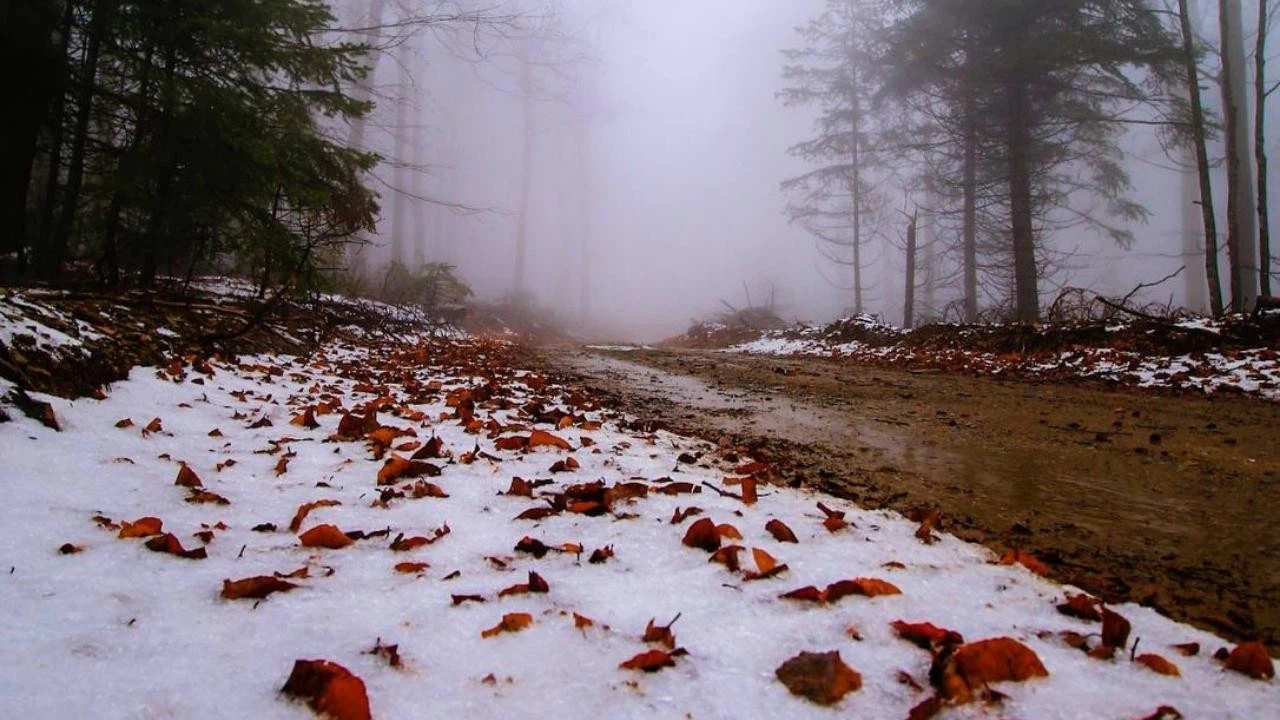 Kazdağları'nın yüksek kesimleri kar yağışıyla beyaza büründü