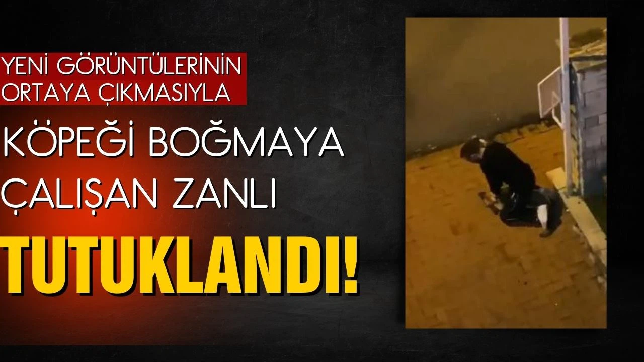 Sarıyer'de köpeği boğmaya çalıştığı belirlenen zanlı tutuklandı