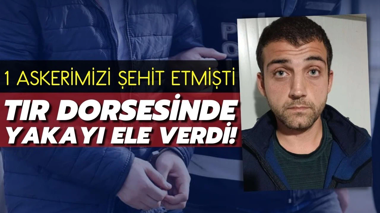 PKK/YPG'li terörist, TIR dorsesinde yakayı ele verdi!