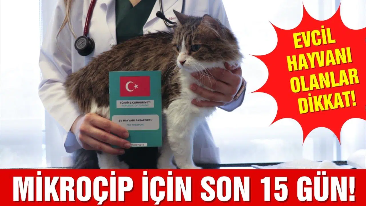 Ev hayvanlarına dijital kimlik uygulamasında son 15 gün!