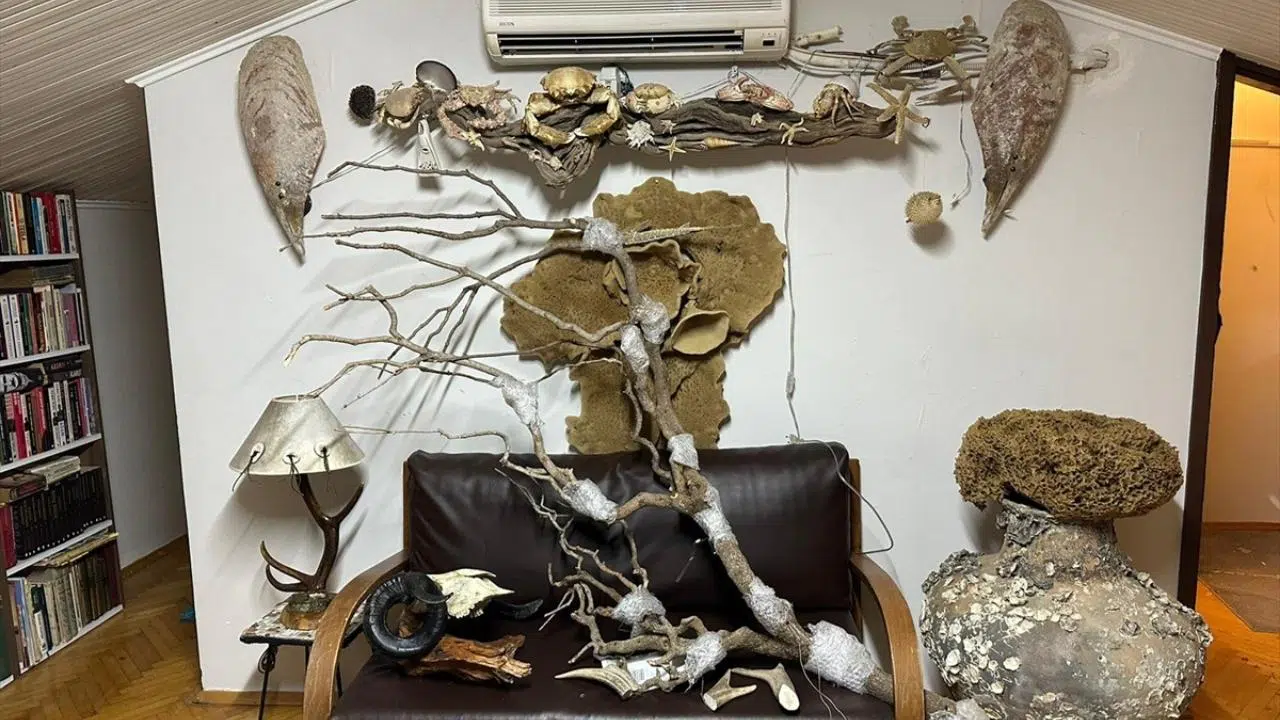 İstanbul'da koruma altındaki yaban hayvanlarına ait parçalar ele geçirildi