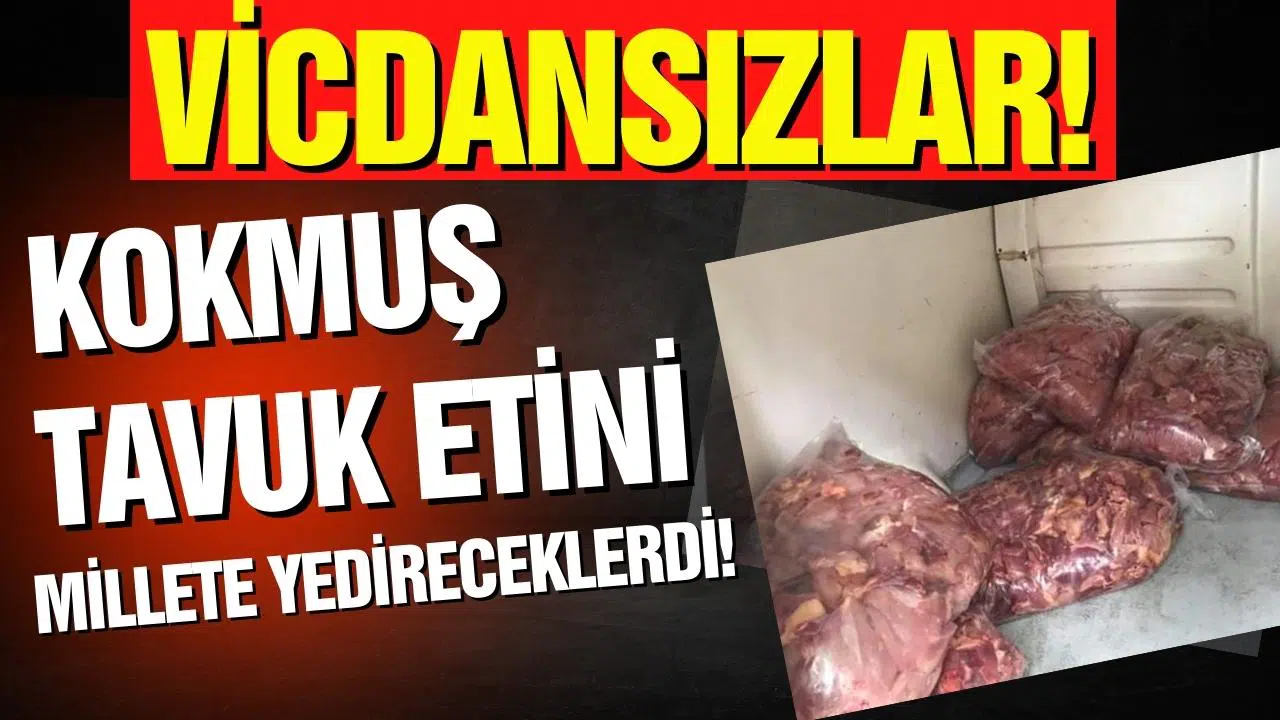 Şanlıurfa'da son kullanma tarihi geçmiş 7 ton tavuk eti ele geçirildi