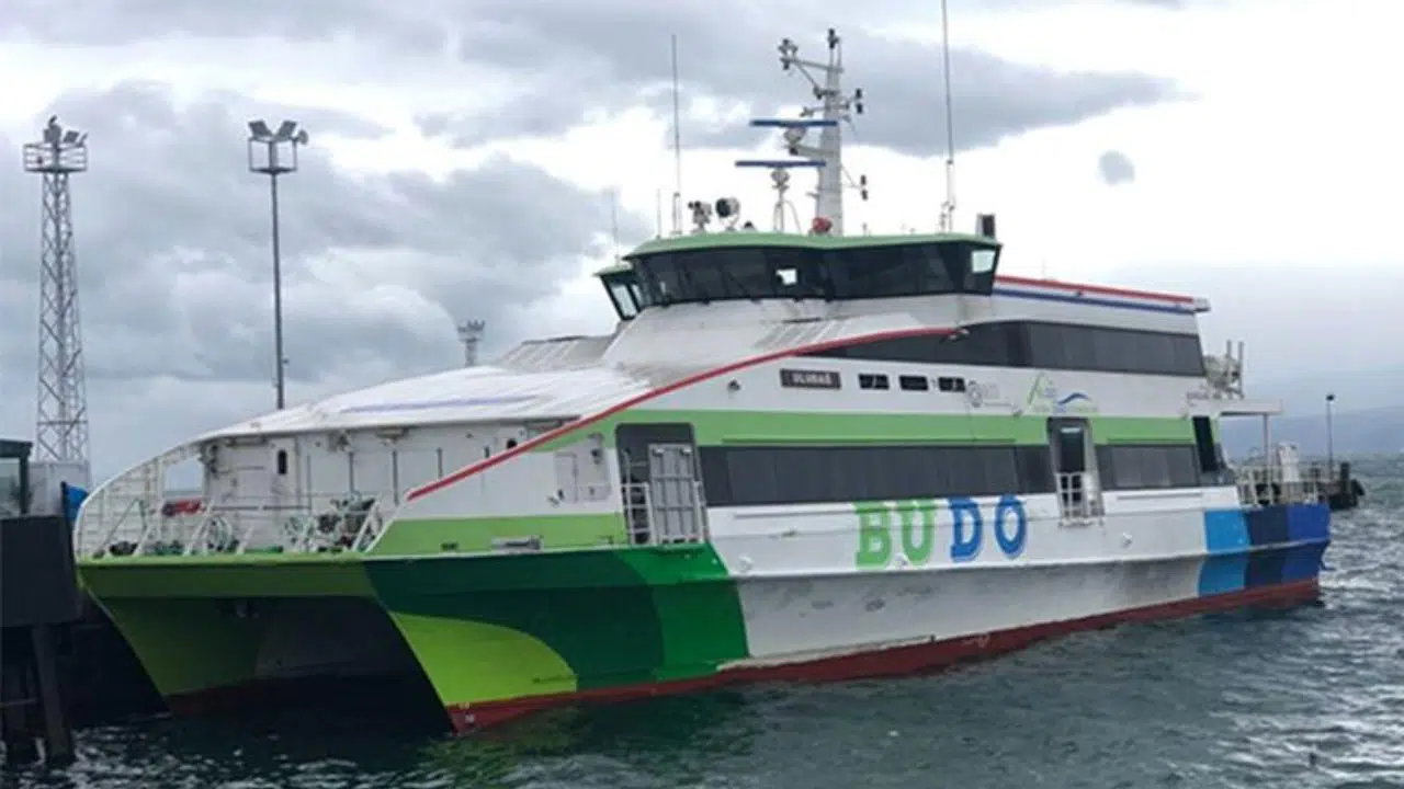 Bursa-İstanbul deniz otobüsü seferlerinden 14'ü iptal edildi