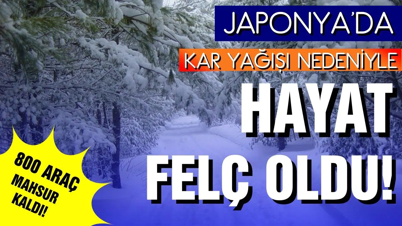 Japonya'da kar yağışı hayatı felç etti: 800 araç mahsur kaldı!