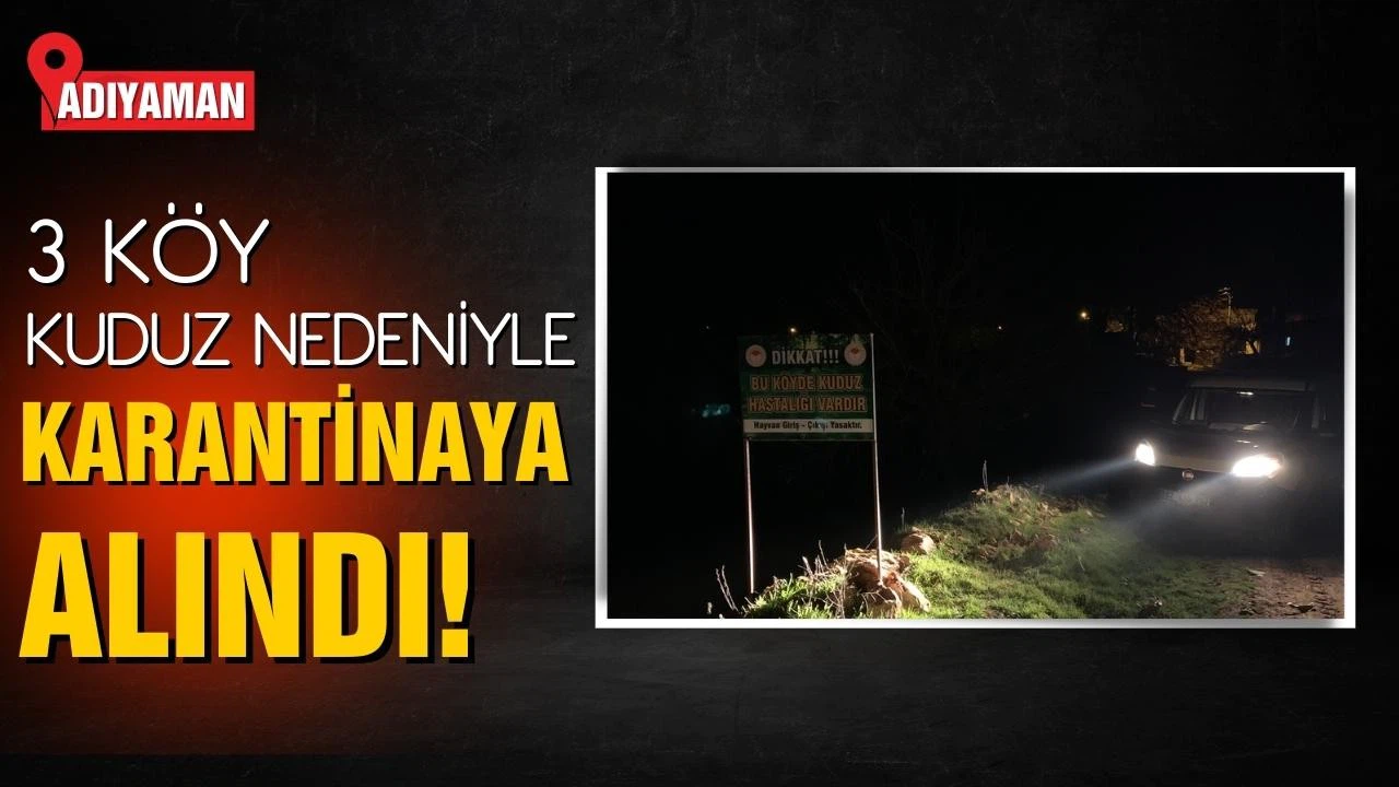Adıyaman'da 3 köy, kuduz nedeniyle karantinaya alındı