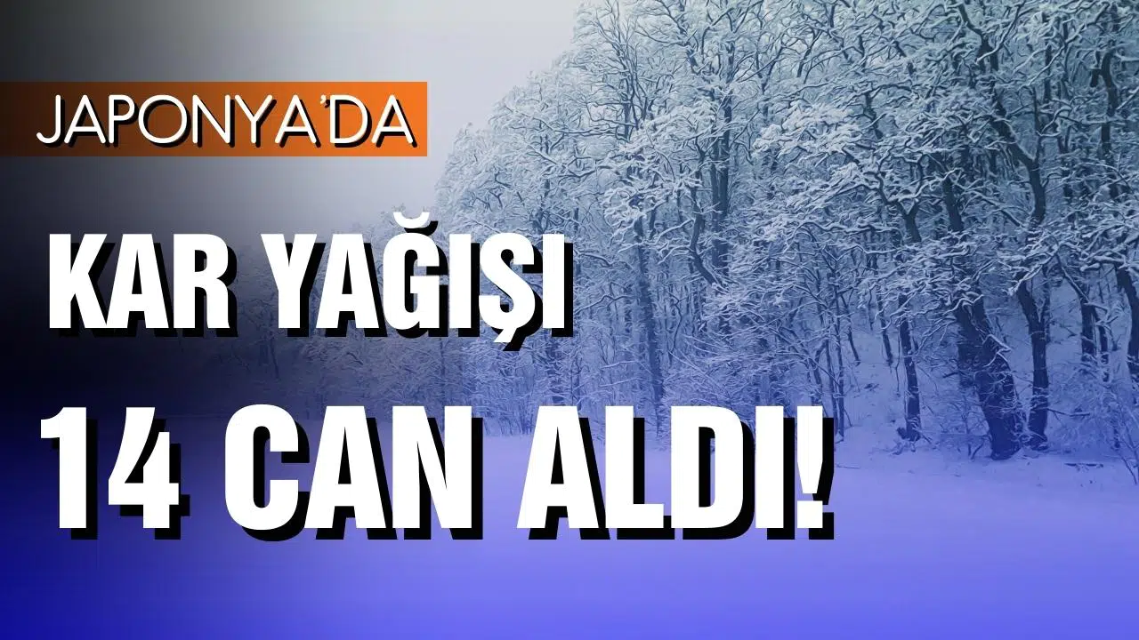 Japonya'da kar yağışı 14 can aldı