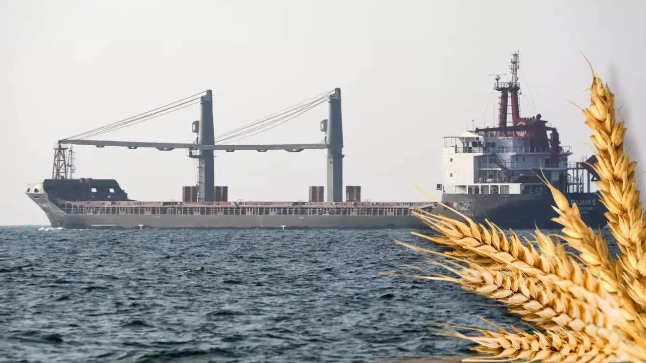 Ukrayna'dan Somali'ye 25 bin ton buğday desteği