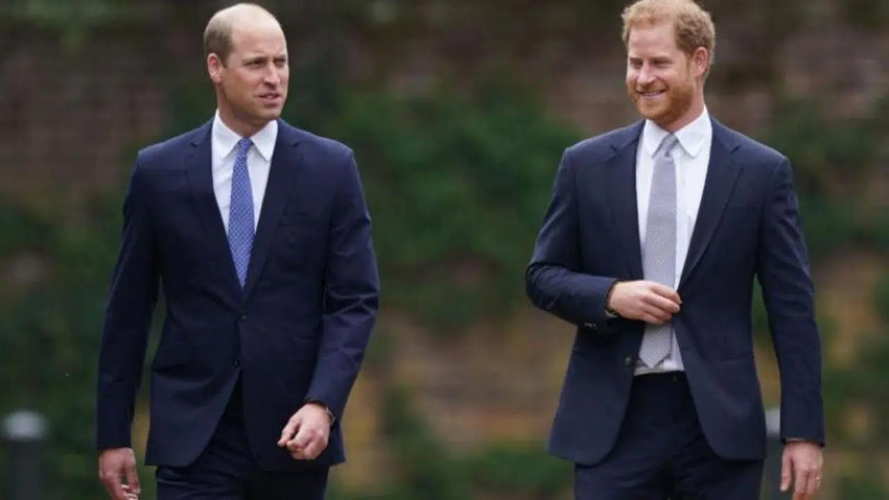 Prens Harry: "Ağabeyim Prens William beni dövdü"