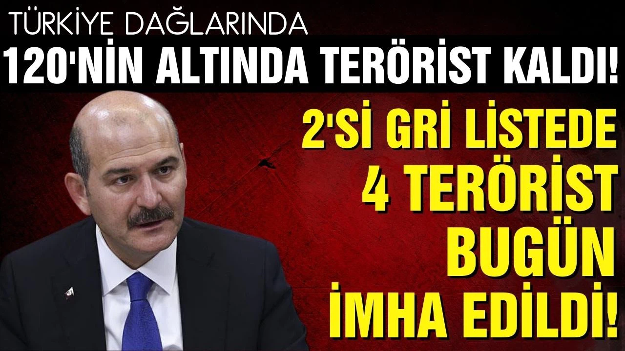 Bakan Soylu açıkladı! Gabar'da 2'si gri kategoride 4 terörist etkisiz hale getirildi