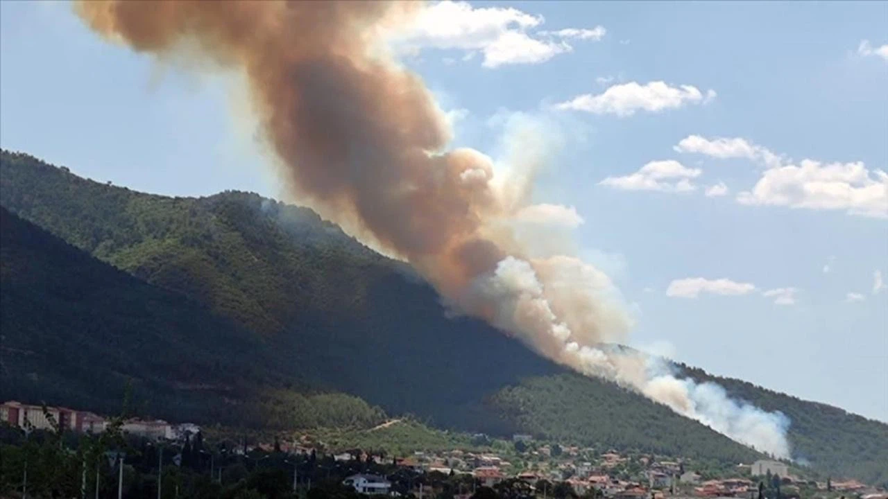 Dört ilde orman yangını sürüyor!