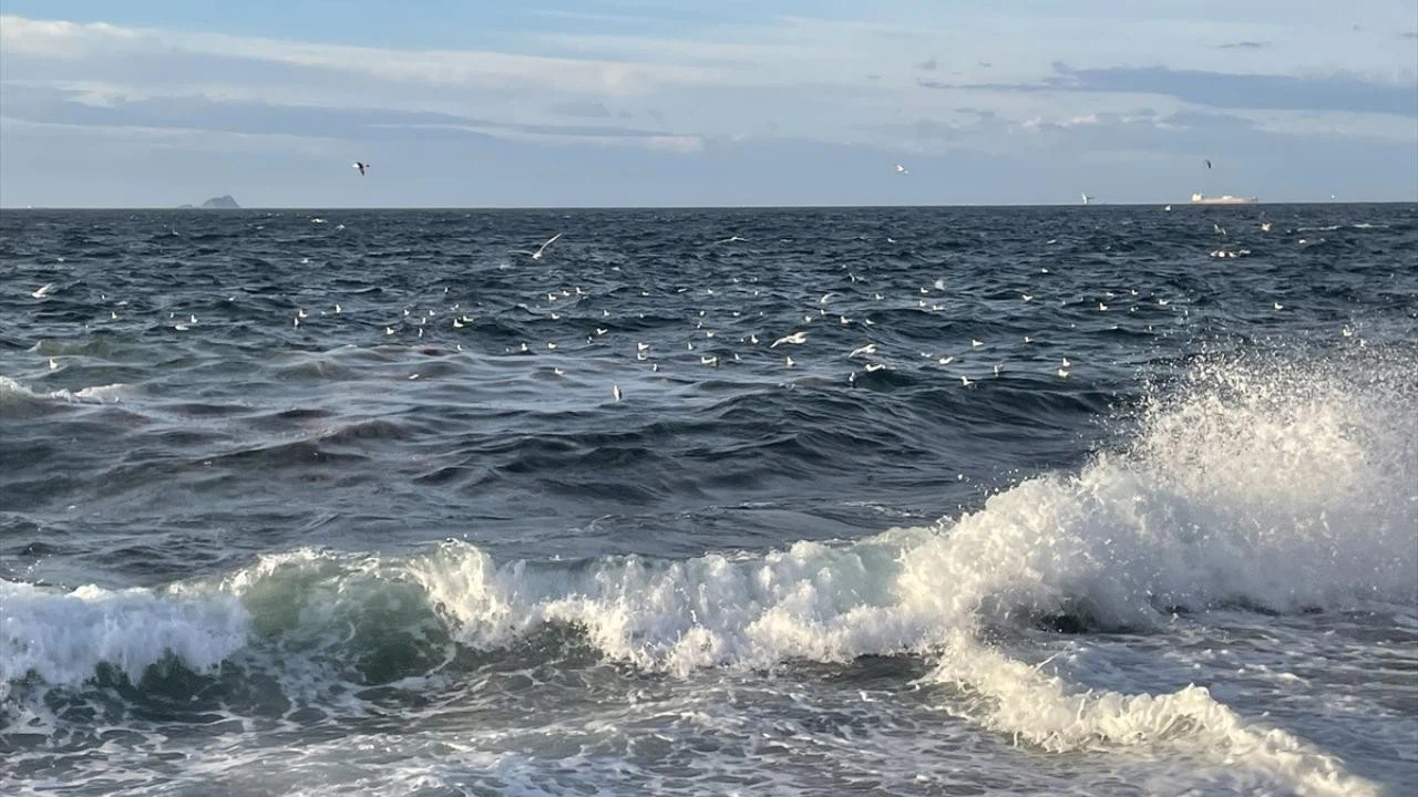 Edremit Körfezi'nde lodos etkili oldu