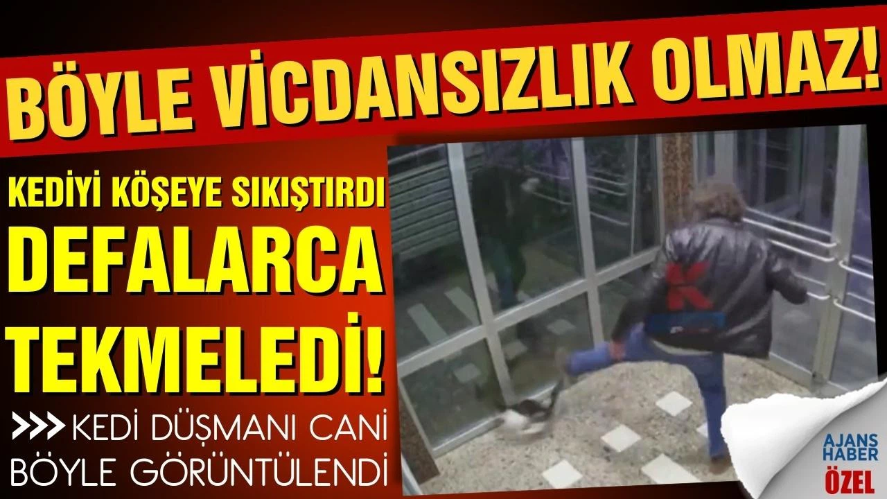 Kedi düşmanı caninin görüntüleri kan dondurdu!