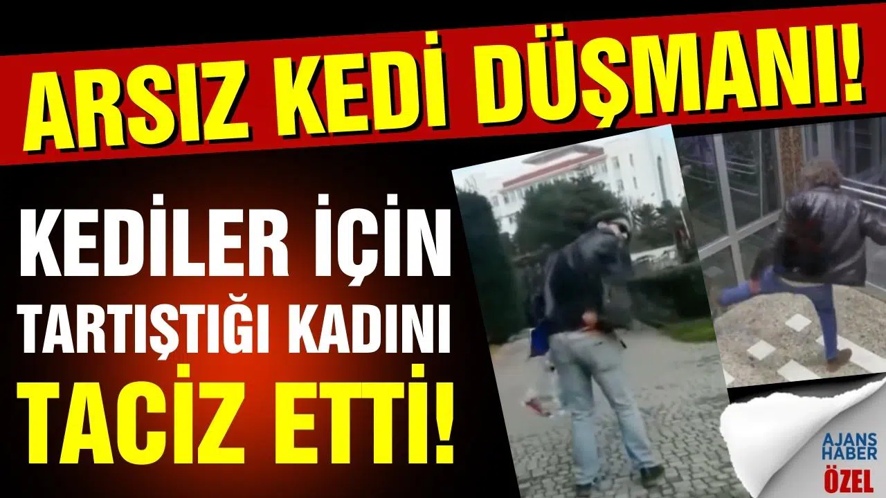 Kedi düşmanı caninin yeni görüntüleri ortaya çıktı!