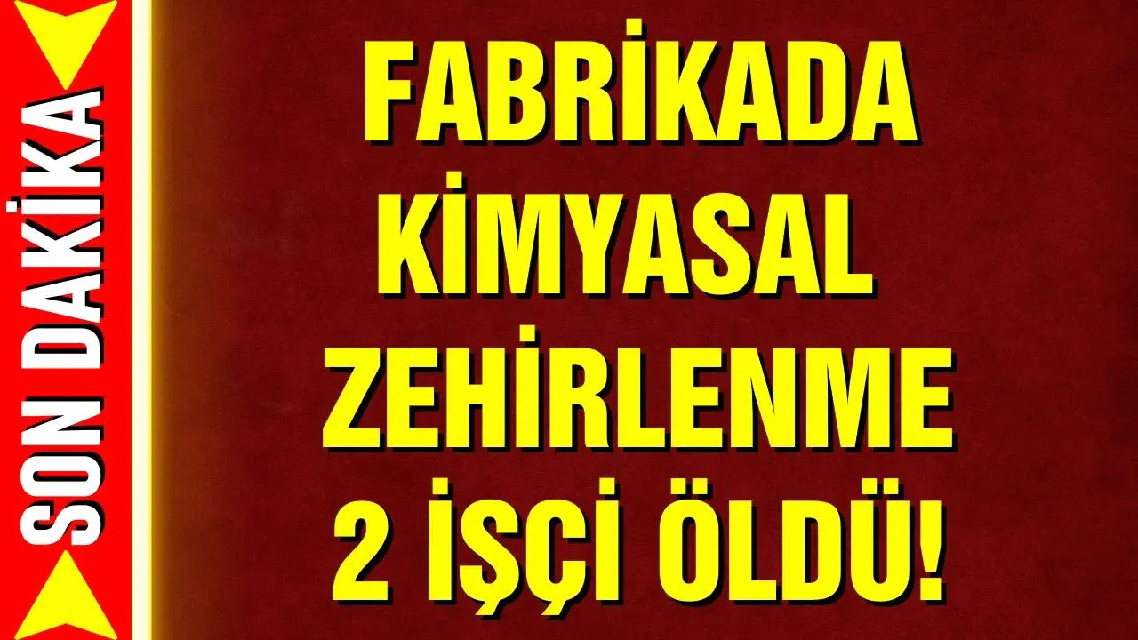 Fabrikada kimyasal zehirlenme: 2 işçi öldü!