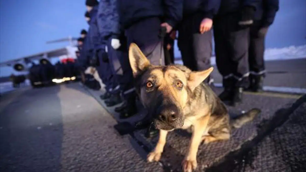 Belarus'tan arama kurtarma ekipleri Türkiye'ye gitti