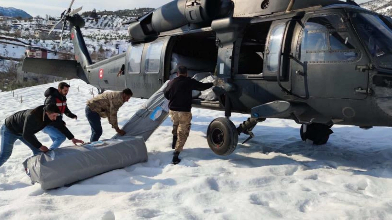 Mehmetçik, çadır ve konteyner kurdu